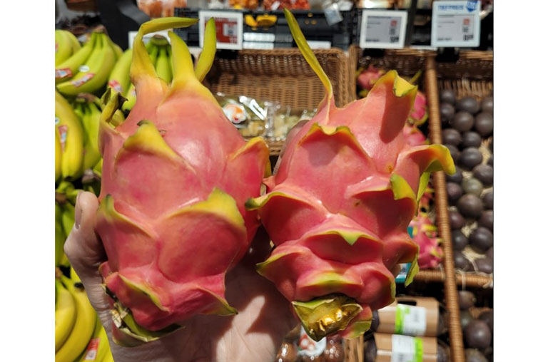 REWE Matthias Härzschel, Blog, Leipzig, NEO, Pitahaya, Drachenfrucht. Rambutan, Exoten, Lina, Obst und Gemüse