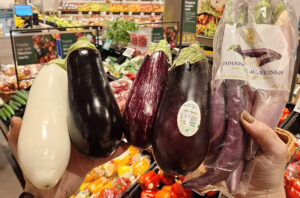 REWE Matthias Härzschel, Leipzig, NEO, Blog, Aubergine, japanische Aubergine, weiße Aubergine, Beere, Gemüse