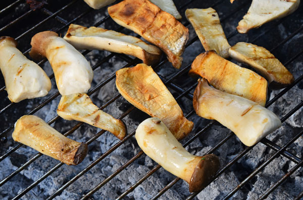 REWE Matthias Härzschel, NEO, Leipzig, Blog, Torgauer Kräuterseitlinge, Pilze, grillen, regional, Regionalität, Nachhaltigkeit