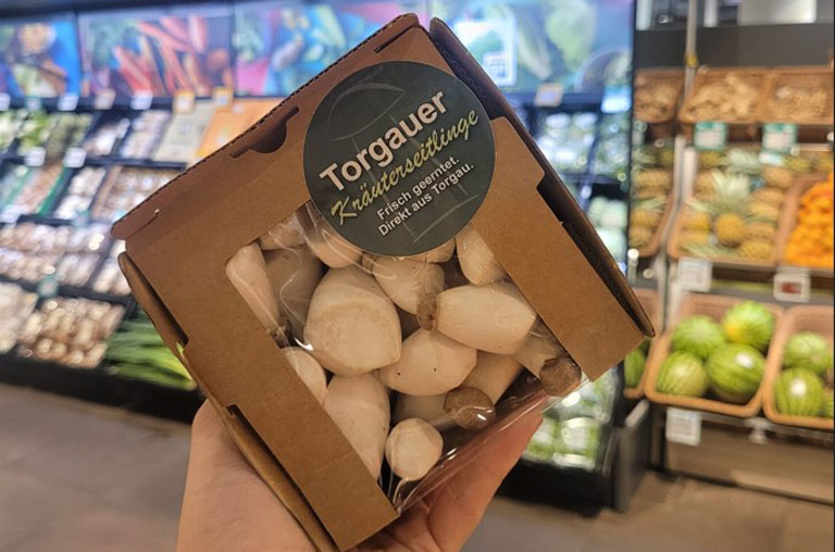 REWE Matthias Härzschel, NEO, Leipzig, Blog, Torgauer Kräuterseitlinge, Pilze, grillen, regional, Regionalität, Nachhaltigkeit