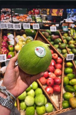 REWE Matthias Härzschel, Leipzig, NEO, Blog, Gurkenmelone, Obst und Gemüse, Exoten