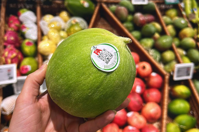 REWE Matthias Härzschel, Leipzig, NEO, Blog, Gurkenmelone, Obst und Gemüse, Exoten