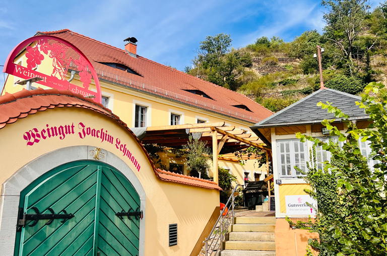 sächsische Weine vom Weingut Lehmann