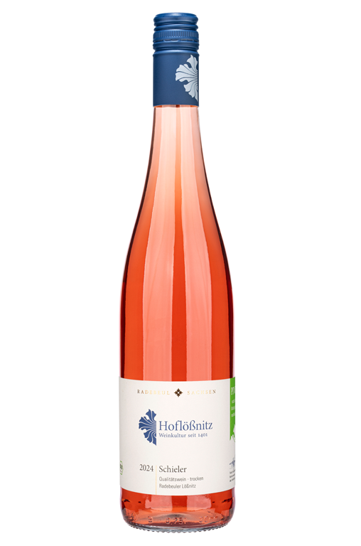 Schiler vom Hof Lößnitz